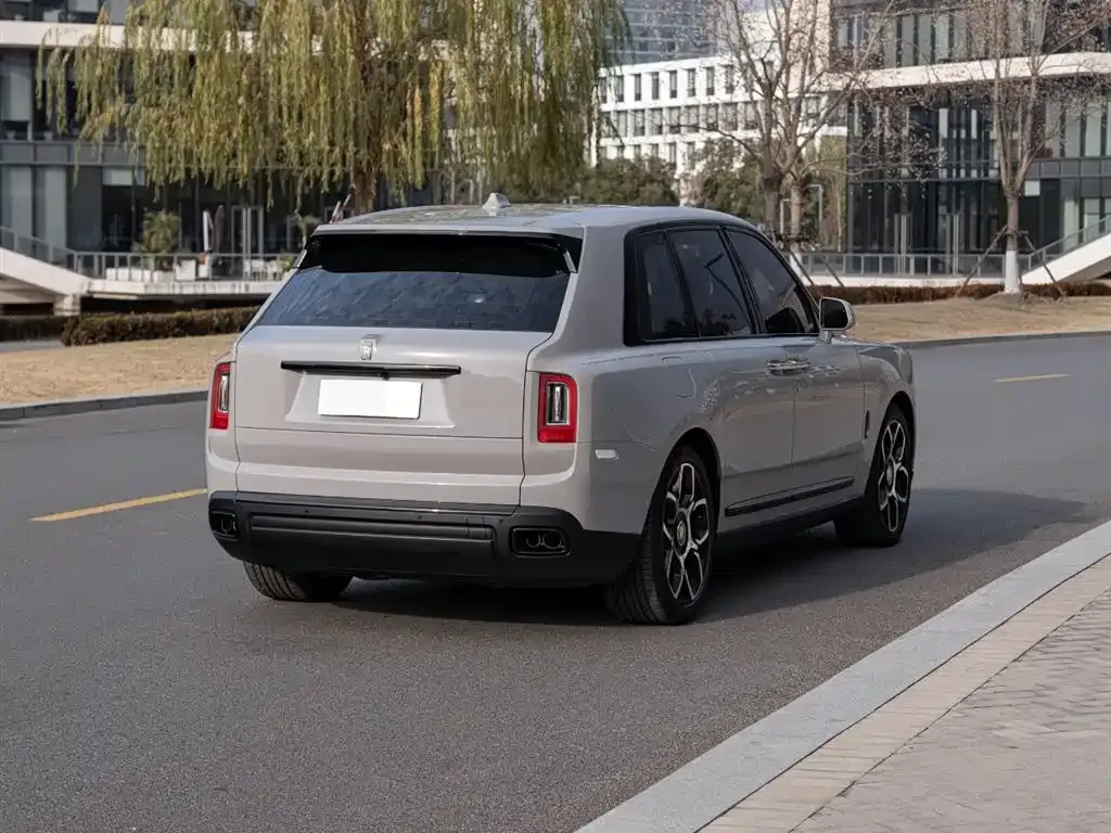 Rolls-Royce Cullinan 2022 из CN, фото 7