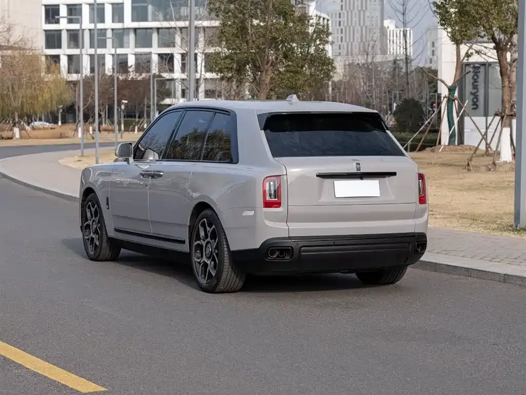 Rolls-Royce Cullinan 2022 из CN, фото 9