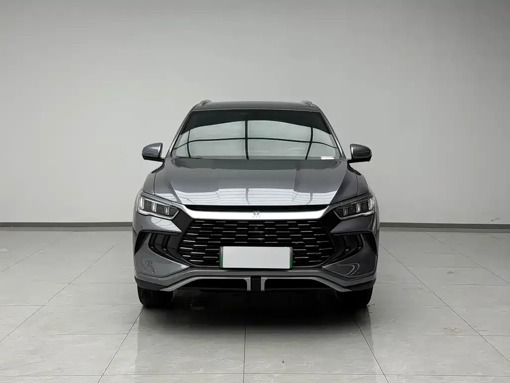 BYD Pro New Energy — фото 2