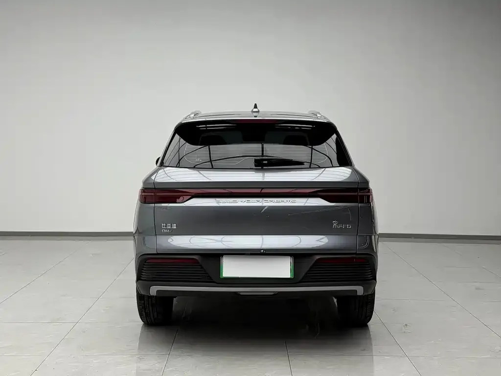 BYD Pro New Energy — фото 3