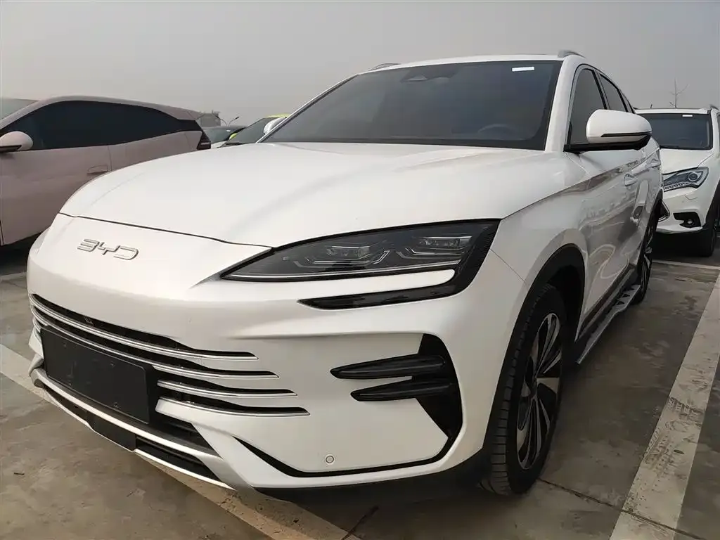 BYD PLUS New Energy 2024 из CN, фото 1