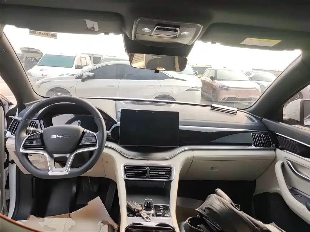 BYD PLUS New Energy 2024 из CN, фото 3