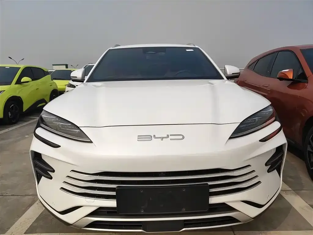 BYD PLUS New Energy 2024 из CN, фото 2