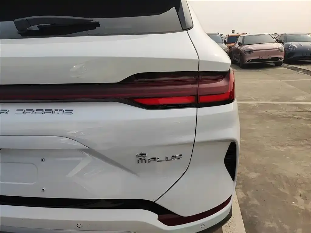 BYD PLUS New Energy 2024 из CN, фото 6