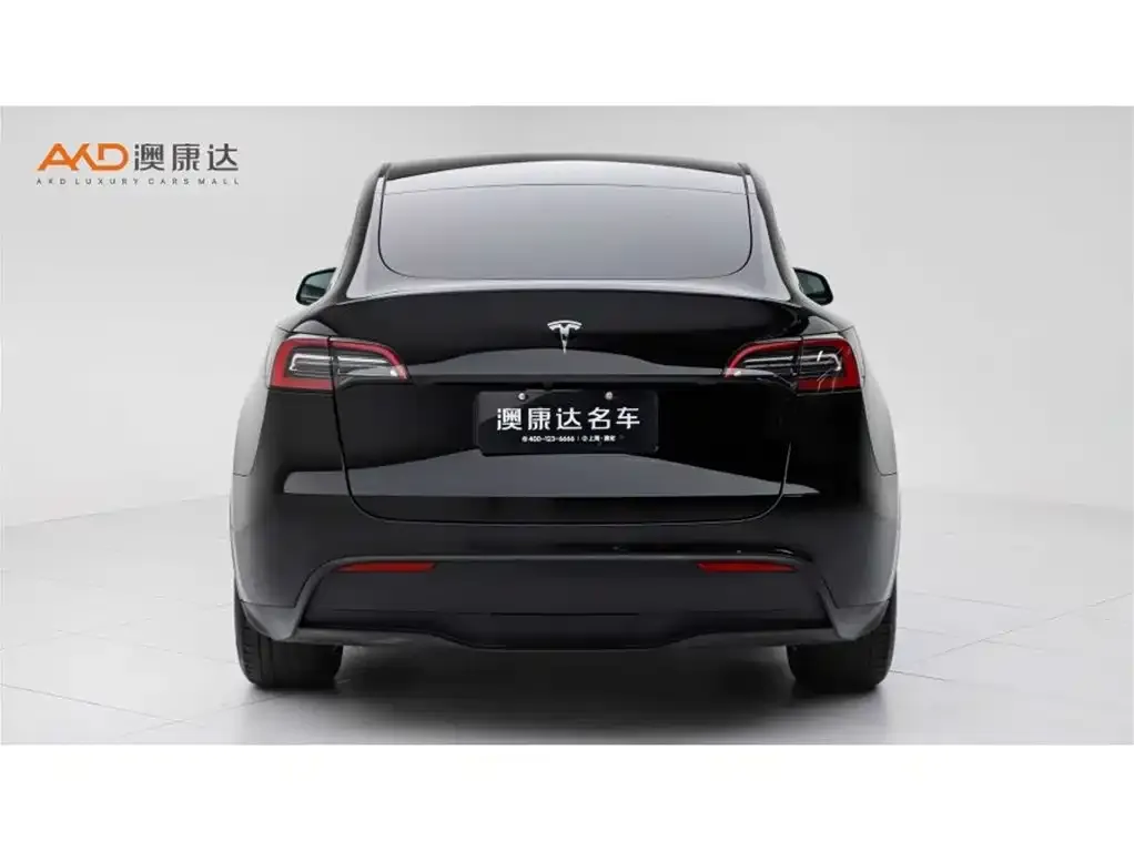Tesla Model Y — фото 8