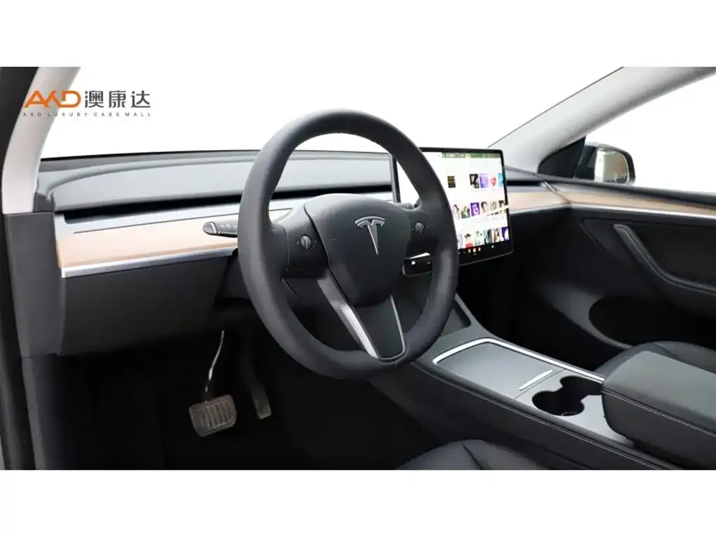 Tesla Model Y — фото 10