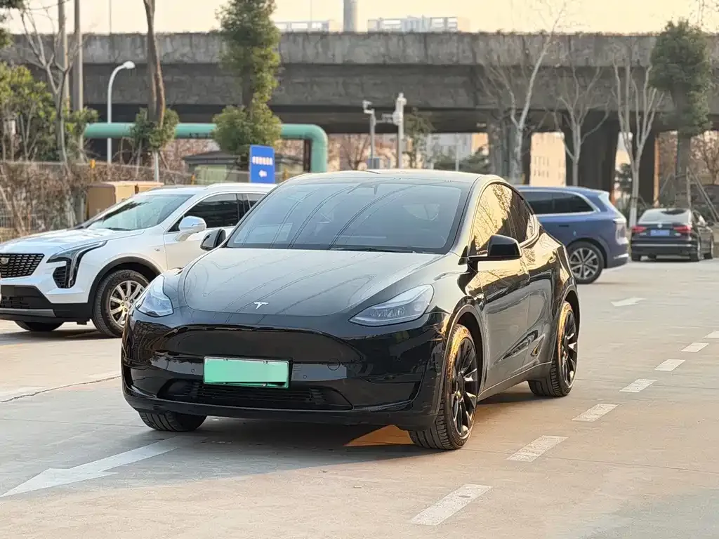 Tesla Model Y — фото 1