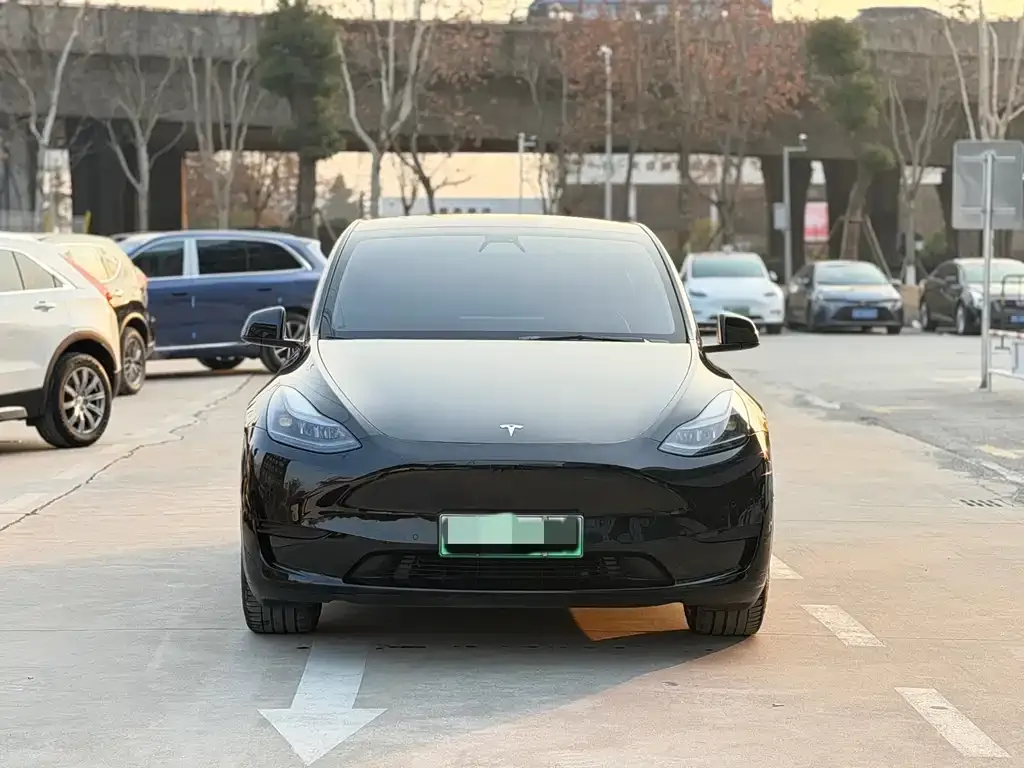 Tesla Model Y — фото 2