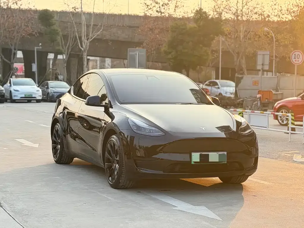 Tesla Model Y — фото 3