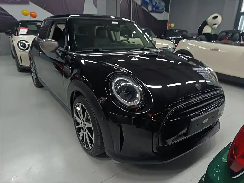 [object Object] Mini 2021 из CN, фото 4