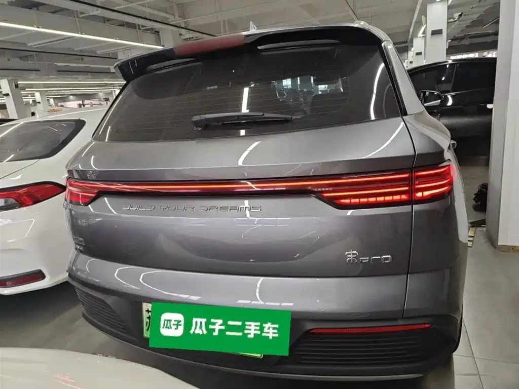 BYD Pro New Energy — фото 4