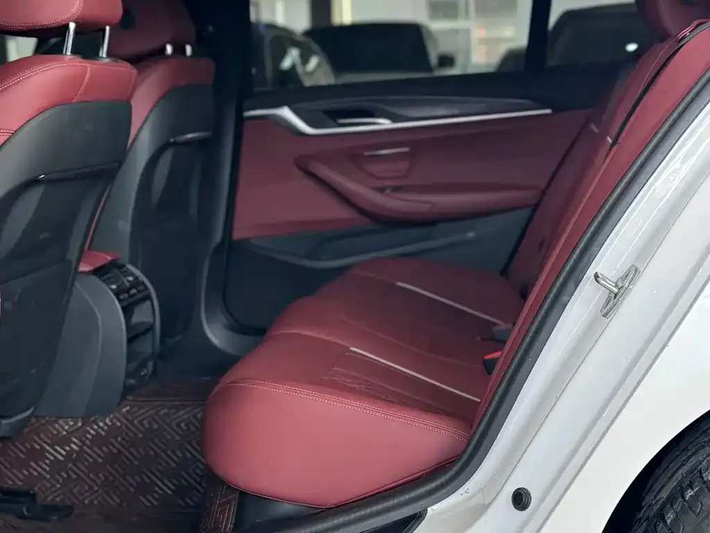 BMW 5 Series 2024 из CN, фото 3