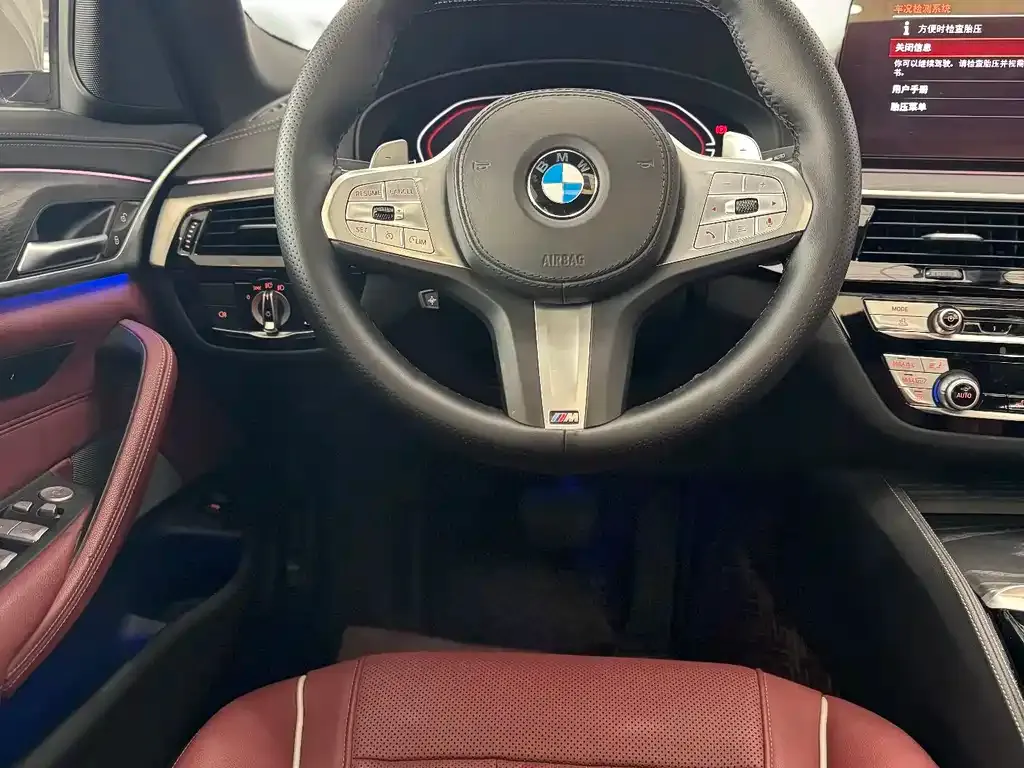 BMW 5 Series 2024 из CN, фото 9
