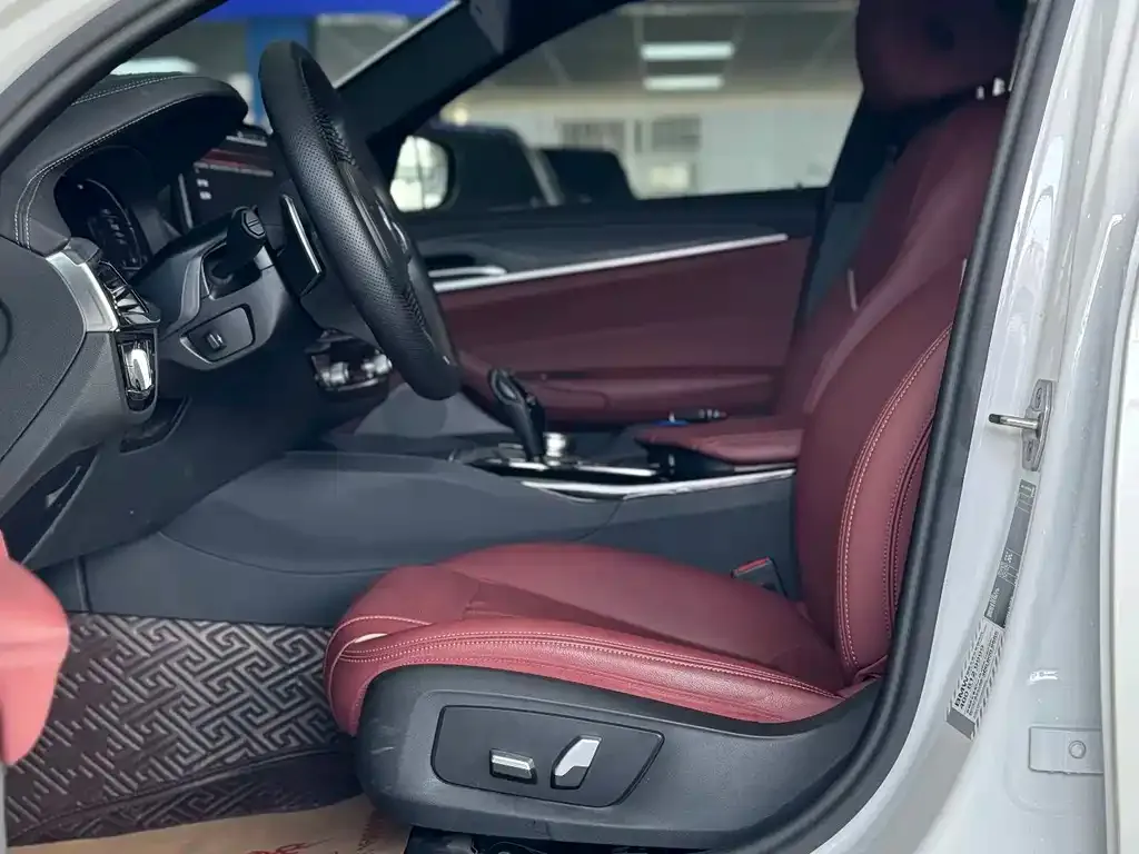 BMW 5 Series 2024 из CN, фото 4