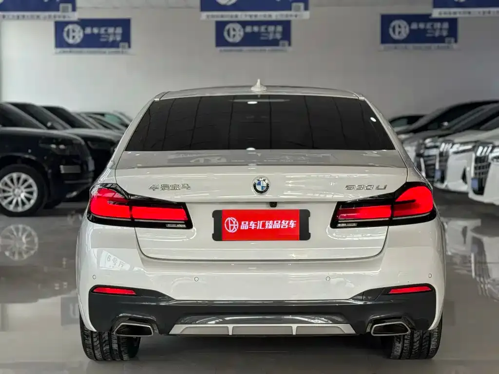 BMW 5 Series 2024 из CN, фото 2