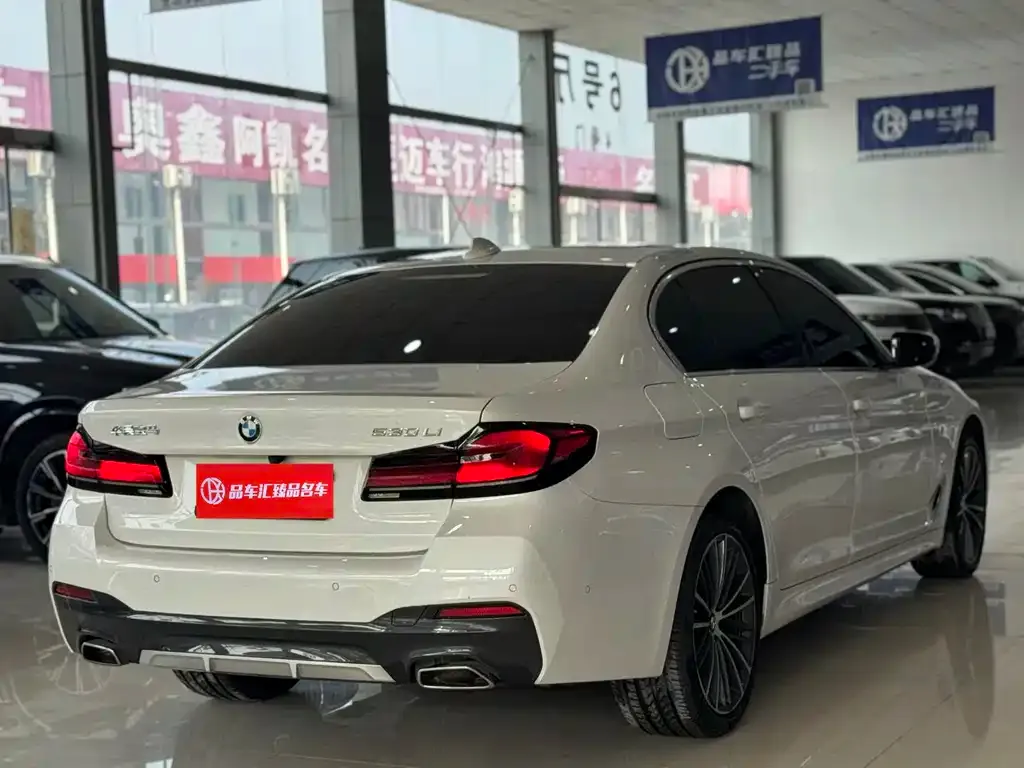 BMW 5 Series 2024 из CN, фото 7