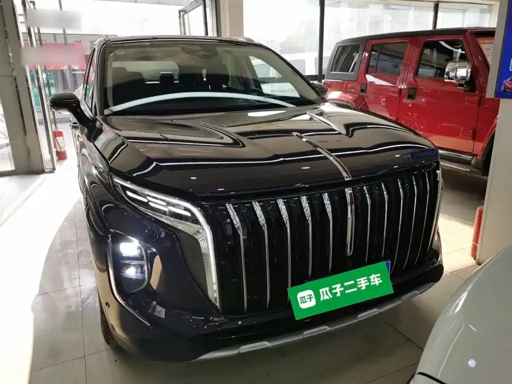 Hongqi HS7 2023 из CN, фото 9
