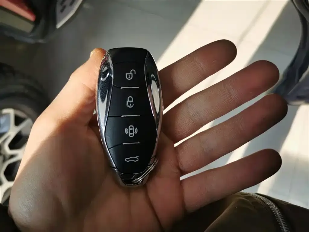 Hongqi HS7 2023 из CN, фото 5