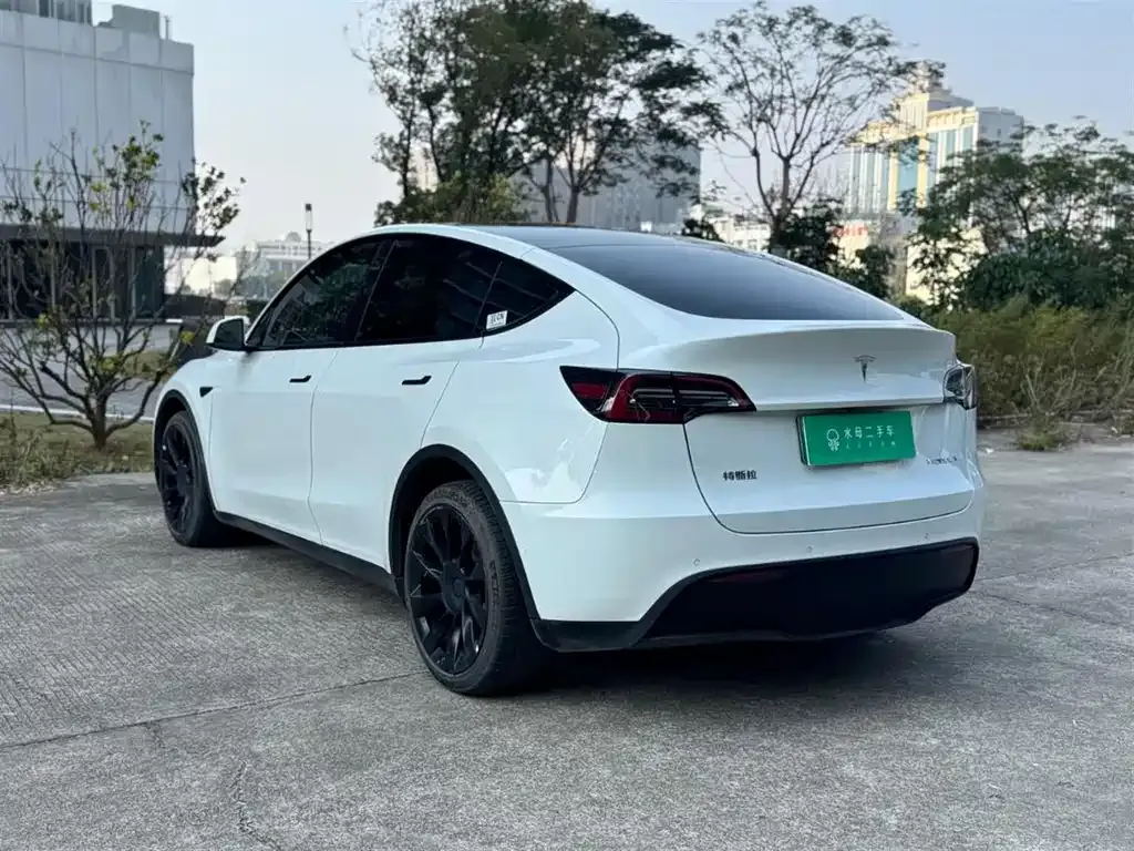 Tesla Model Y — фото 2