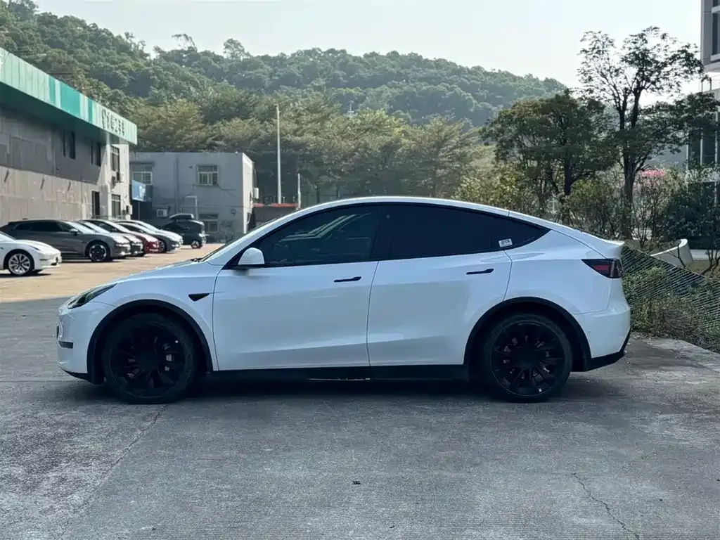 Tesla Model Y — фото 3