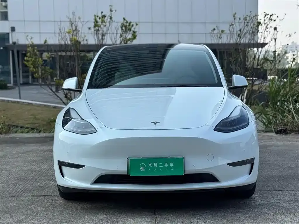 Tesla Model Y — фото 6