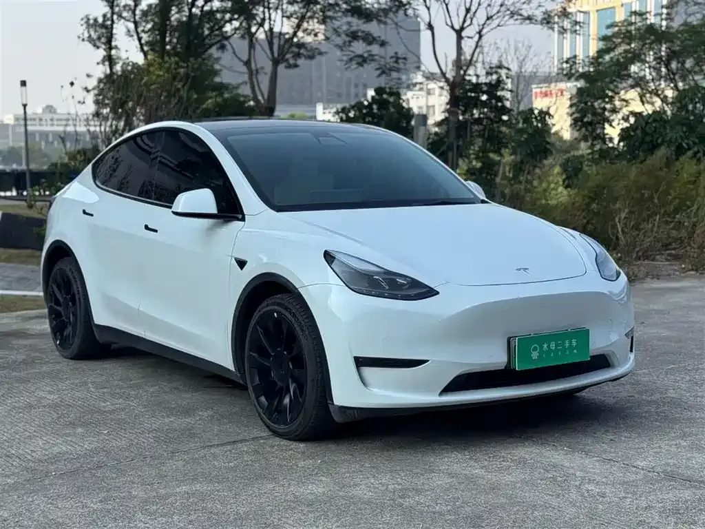 Tesla Model Y — фото 7