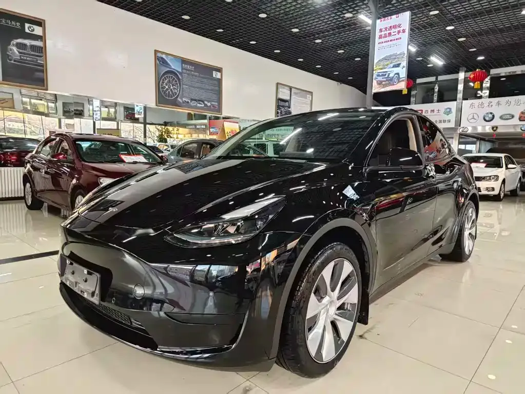 Tesla Model Y — фото 1