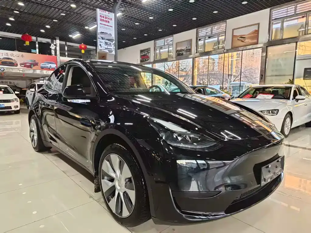 Tesla Model Y — фото 5