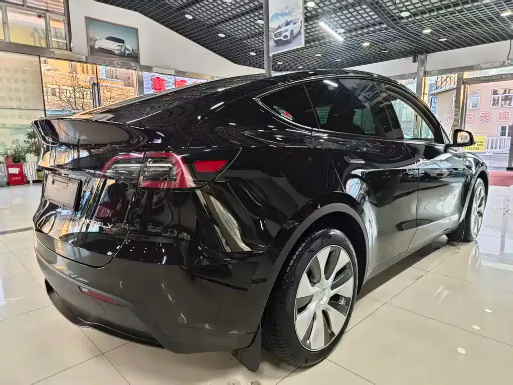 Tesla Model Y — фото 6