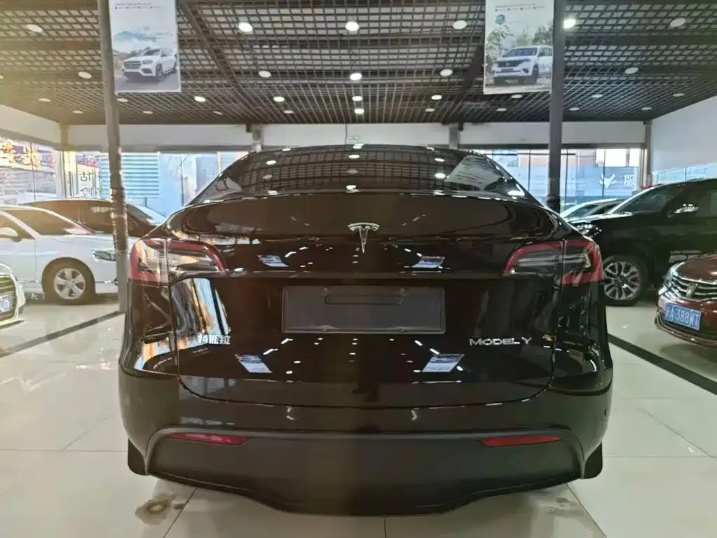 Tesla Model Y — фото 8
