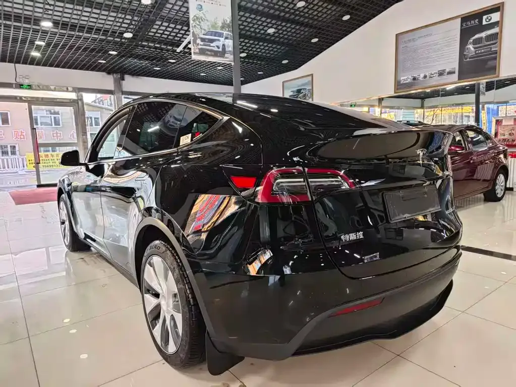 Tesla Model Y — фото 3