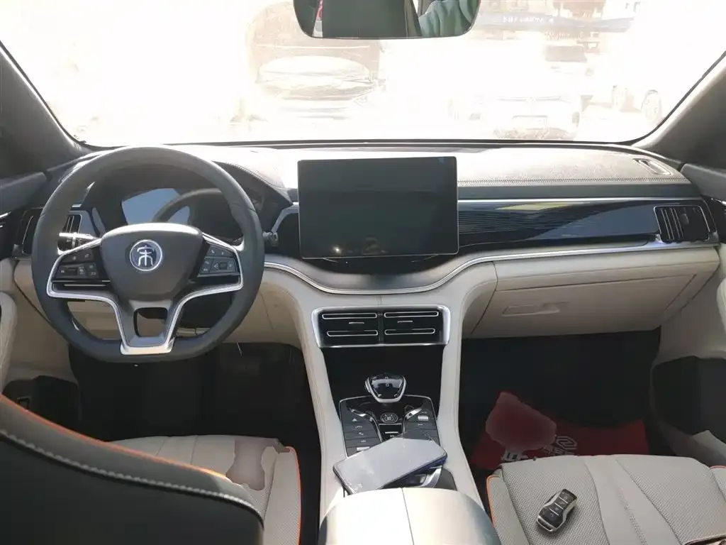 BYD PLUS New Energy 2023 из CN, фото 7