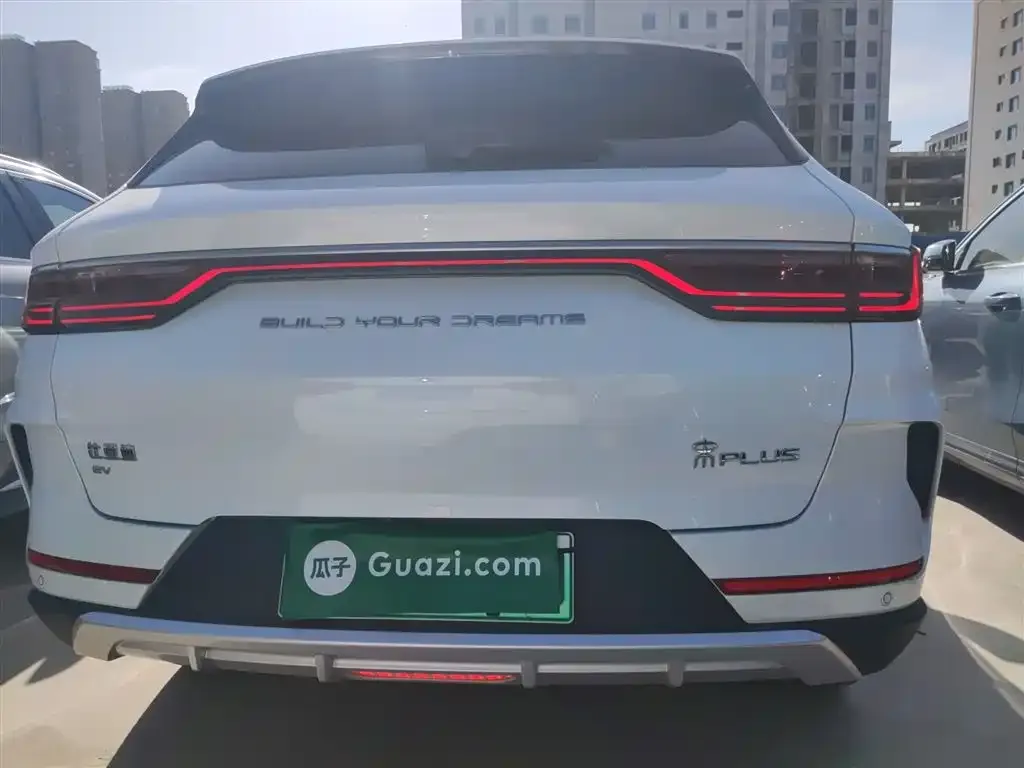 BYD PLUS New Energy 2023 из CN, фото 6