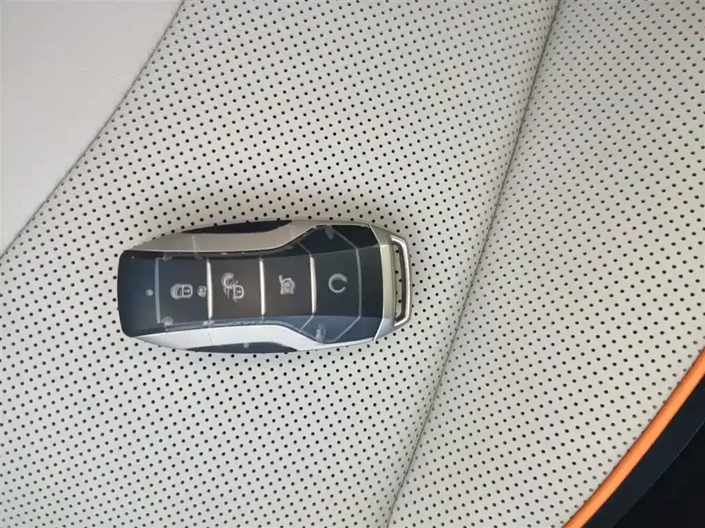 BYD PLUS New Energy 2023 из CN, фото 5