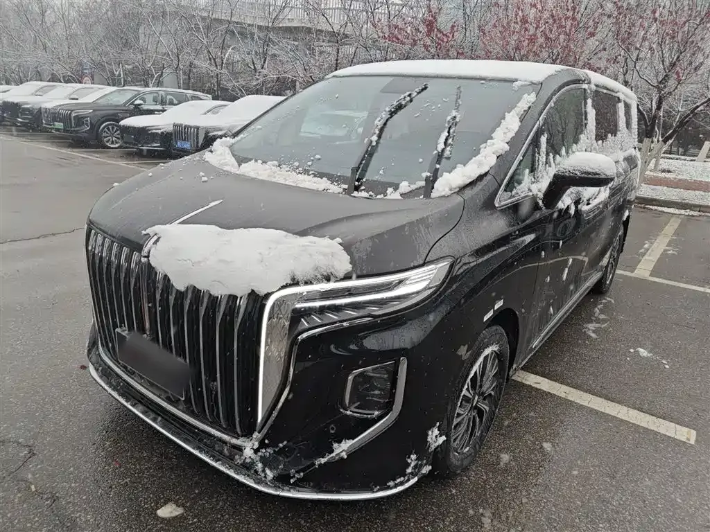 Hongqi HQ9 PHEV 2025 из CN, фото 1