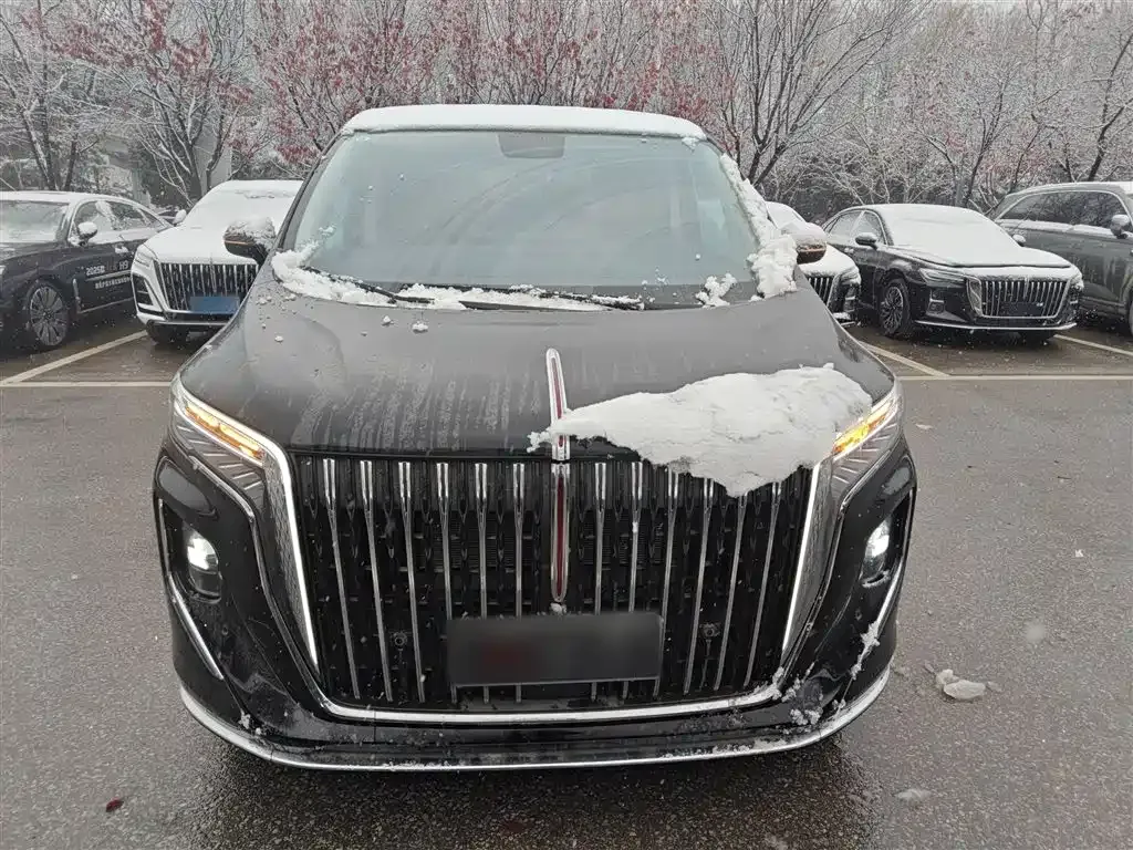 Hongqi HQ9 PHEV 2025 из CN, фото 10
