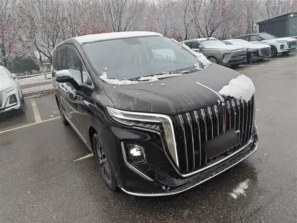 Hongqi HQ9 PHEV 2025 из CN, фото 7