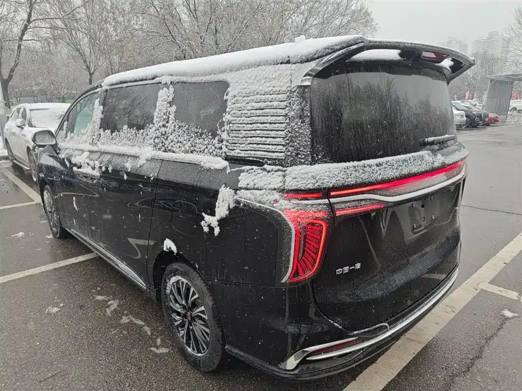 Hongqi HQ9 PHEV 2025 из CN, фото 5