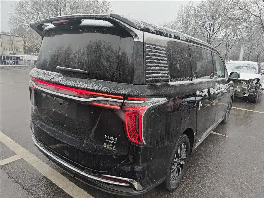 Hongqi HQ9 PHEV 2025 из CN, фото 9