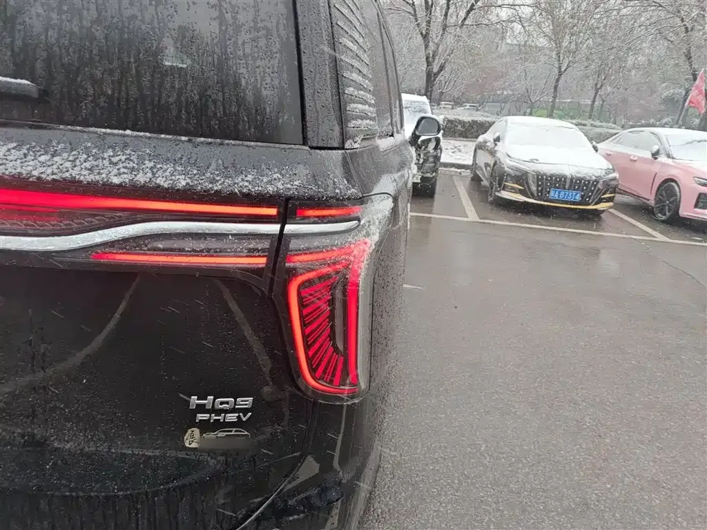 Hongqi HQ9 PHEV 2025 из CN, фото 8