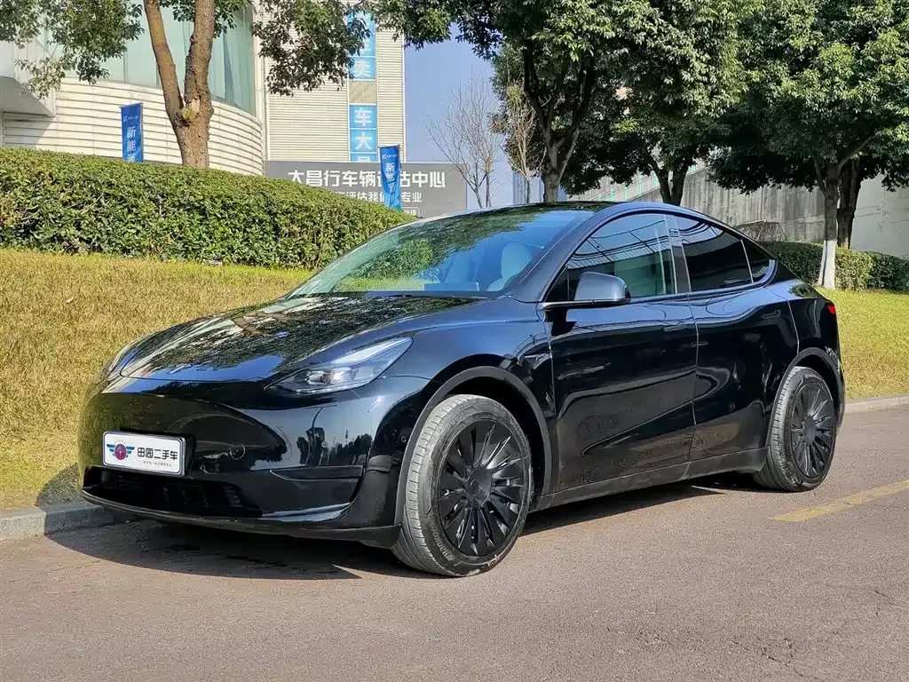 Tesla Model Y — фото 1