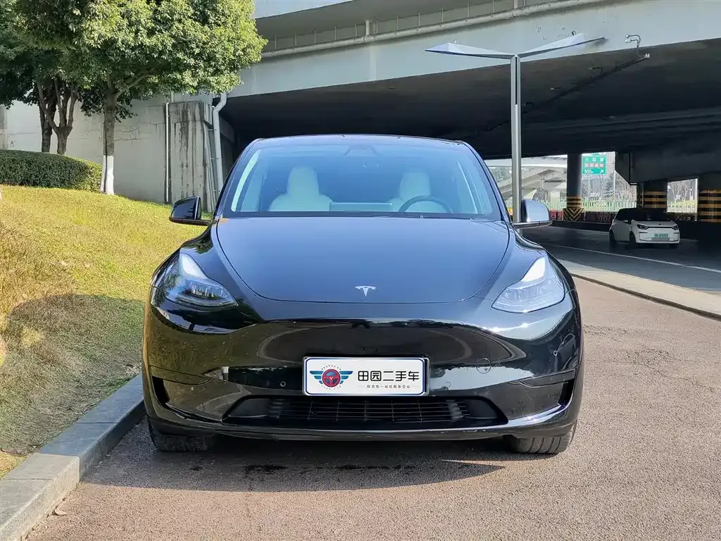 Tesla Model Y — фото 7