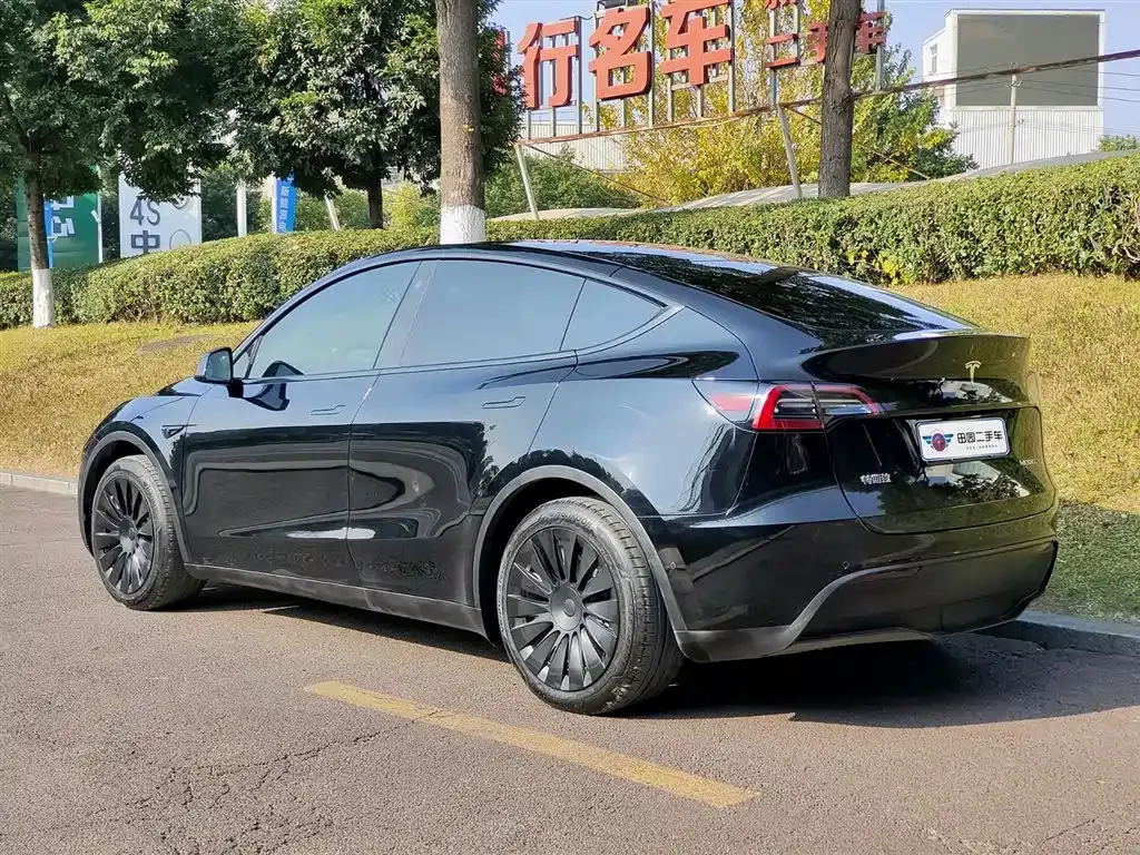 Tesla Model Y — фото 10