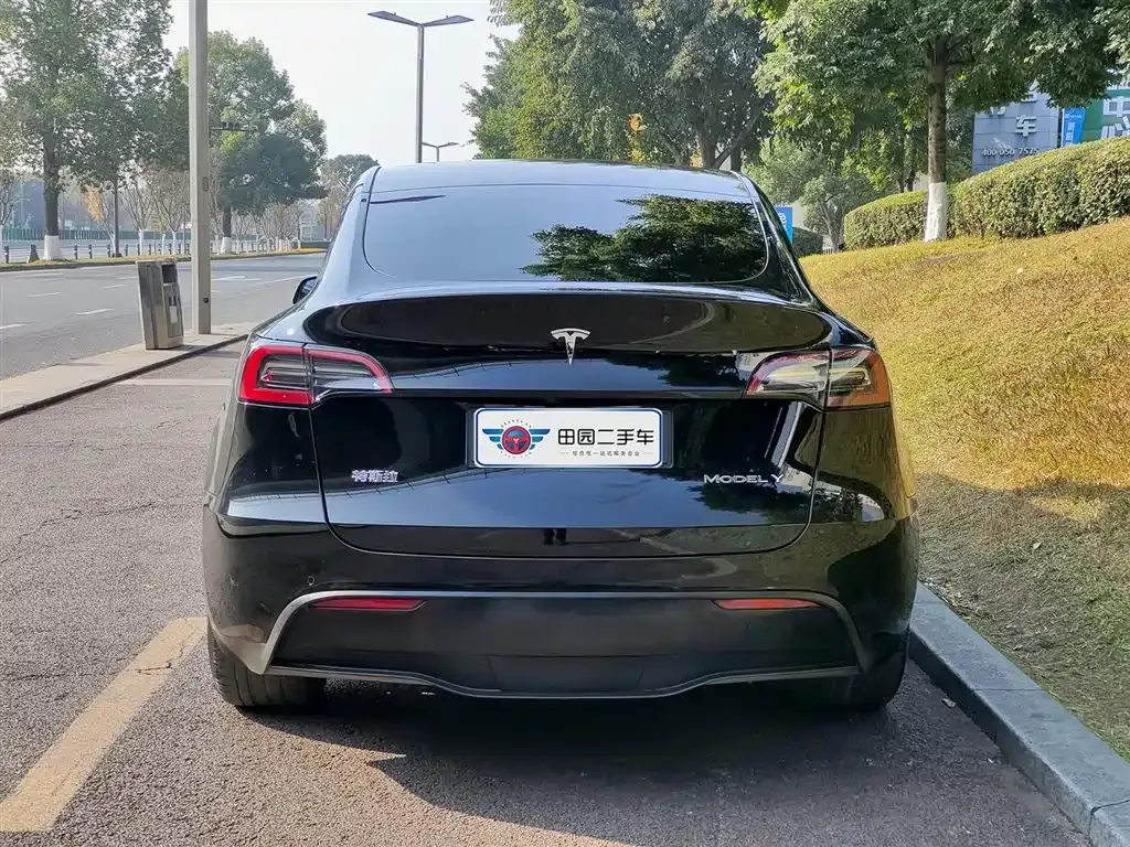 Tesla Model Y — фото 9