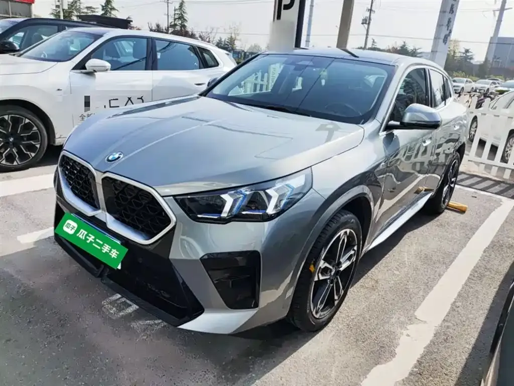 BMW X2 (Import) 2024 из CN, фото 8