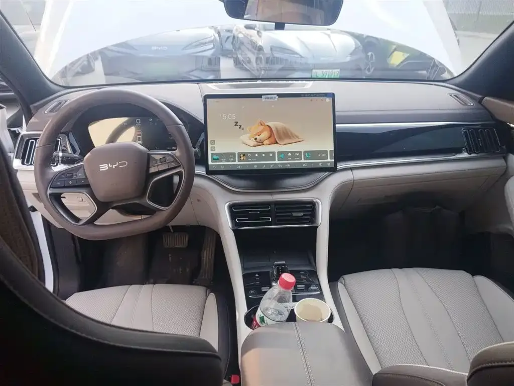 BYD PLUS New Energy 2025 из CN, фото 10
