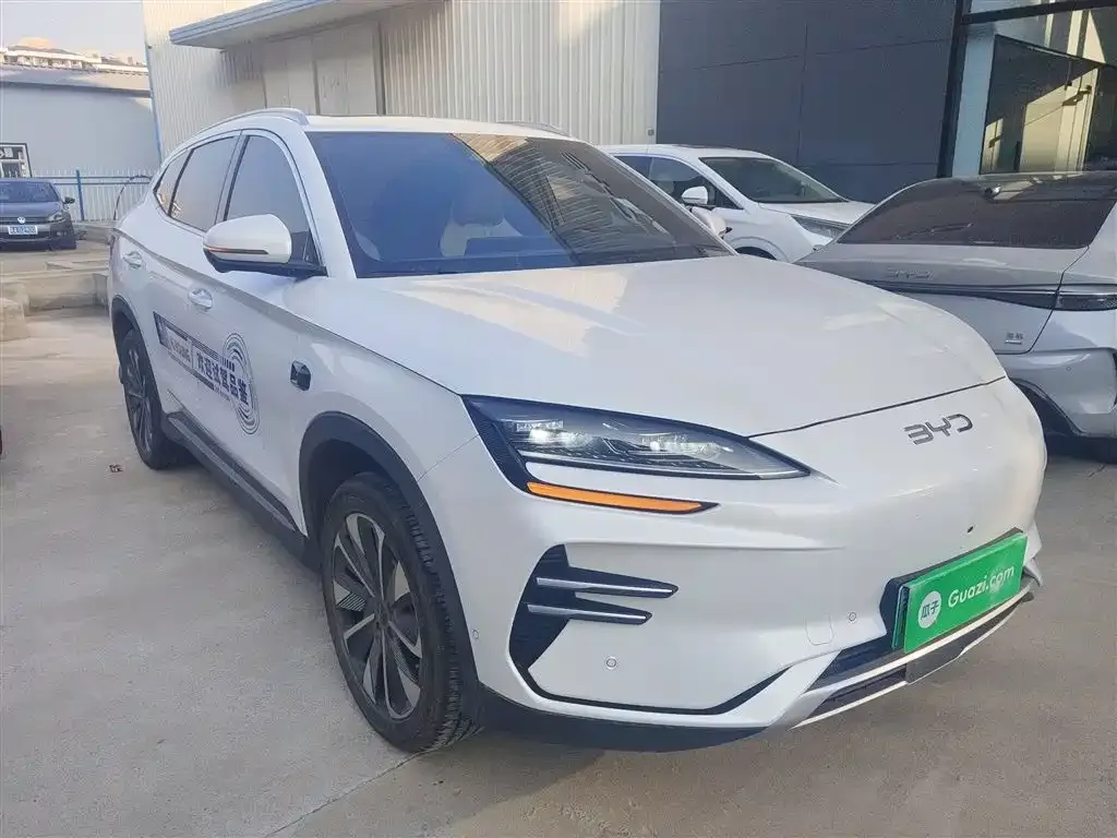 BYD PLUS New Energy 2025 из CN, фото 5