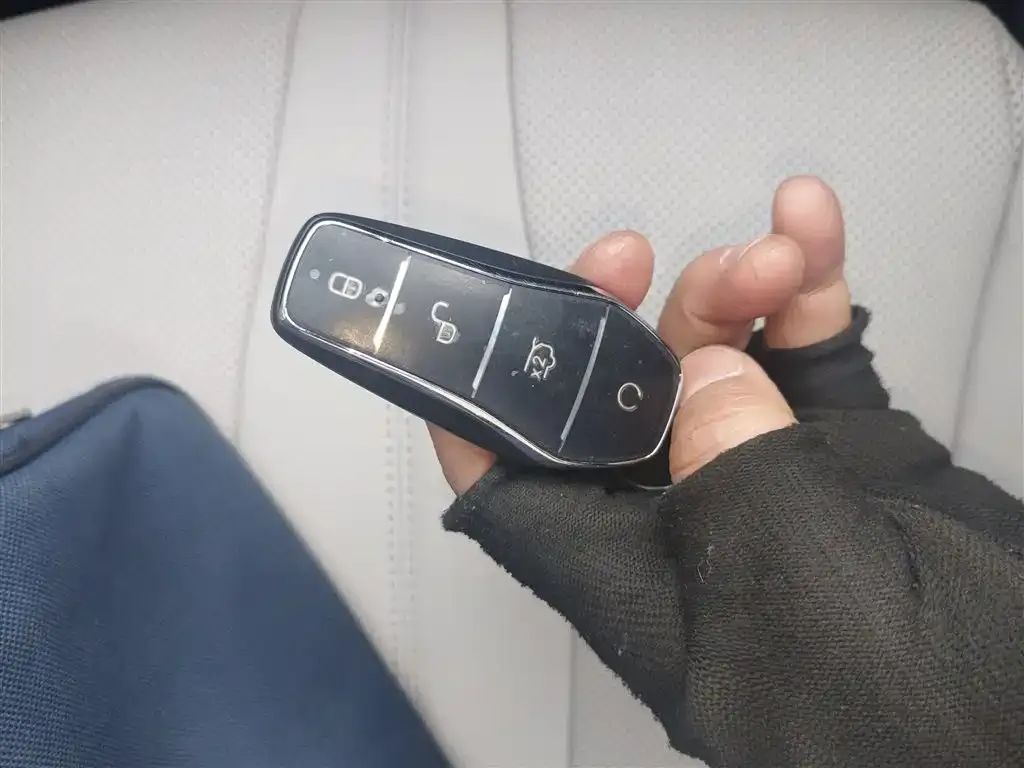 BYD PLUS New Energy 2025 из CN, фото 7