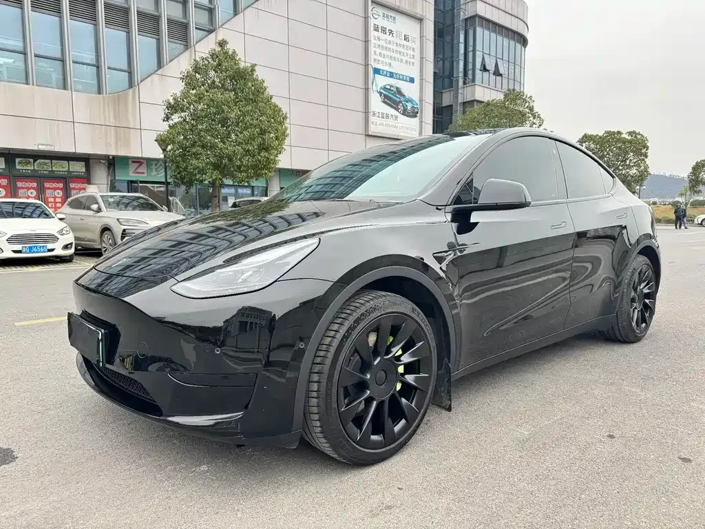 Tesla Model Y — фото 1