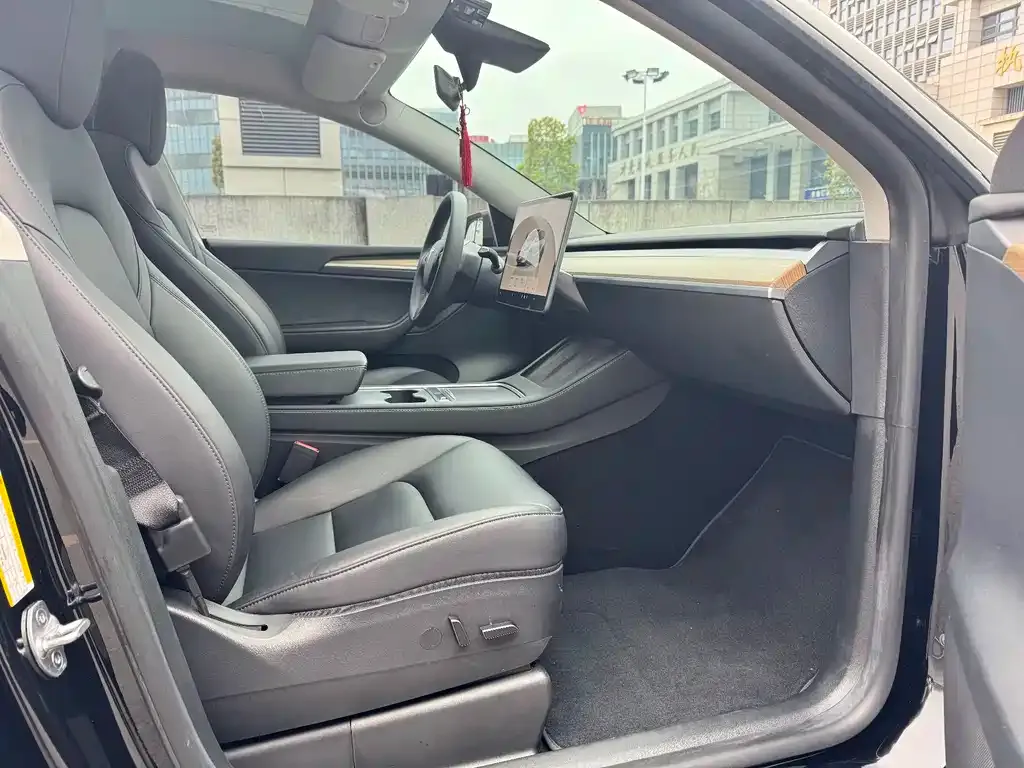 Tesla Model Y — фото 9